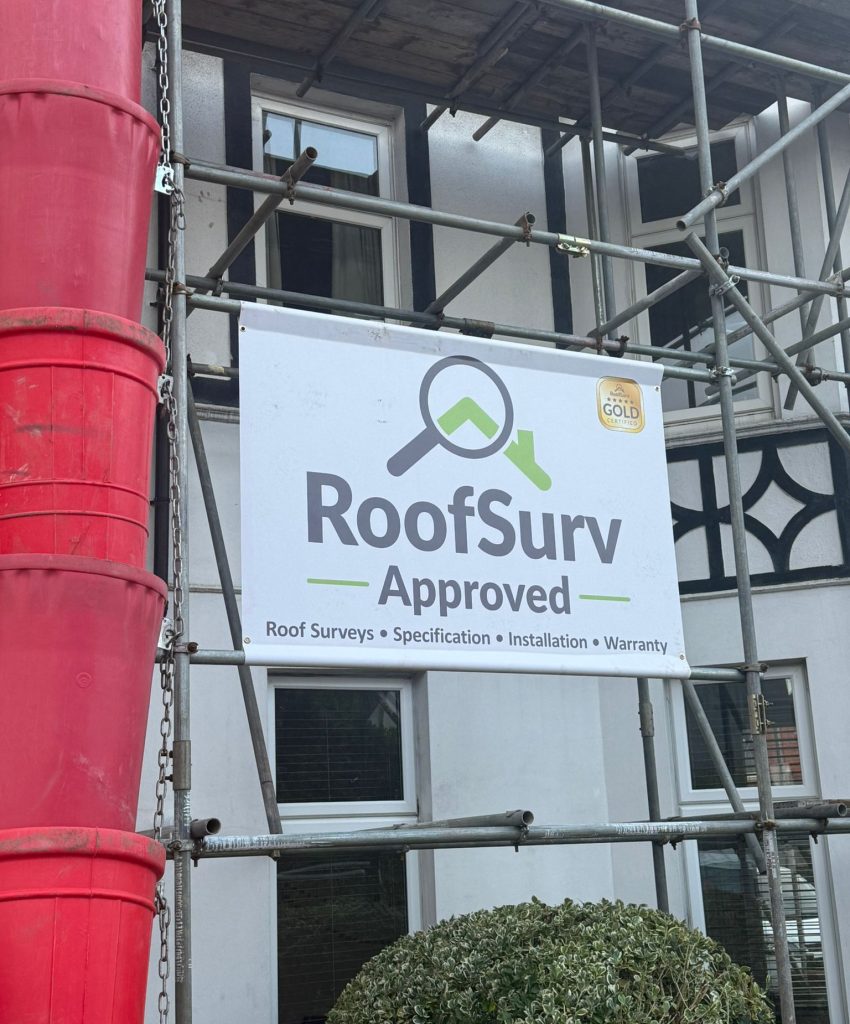 WhatsApp Image 2026-02-16 at 17.24.33